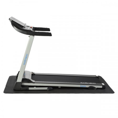 Evo fitness stels