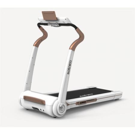 Evo fitness cosmo 5
