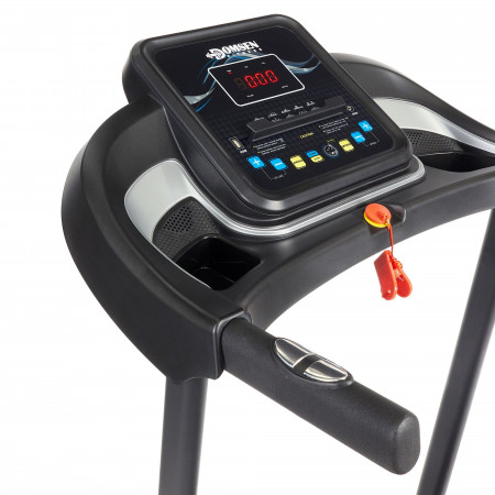 Domsen Fitness DST20