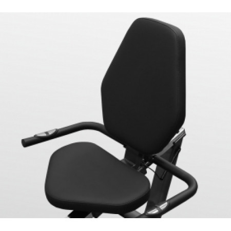 CARBON FITNESS M808