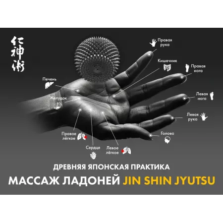Массажное кресло FUJIMO ? GURU2 F800 Коричневый